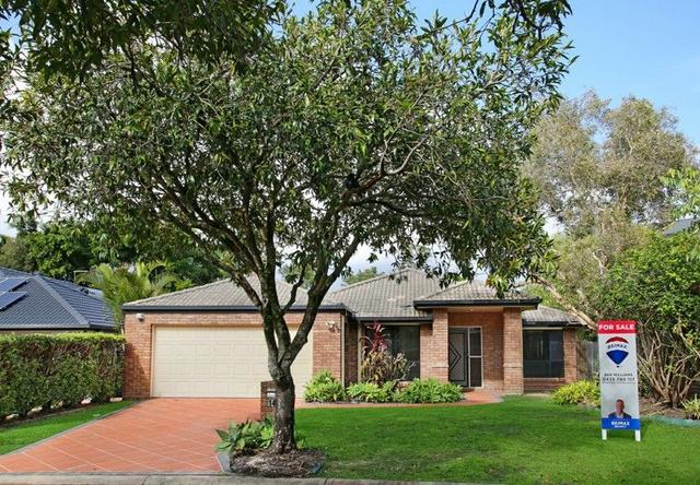 14 Camphor Wood Court, QLD 4226