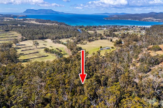196 Alma Road, TAS 7190