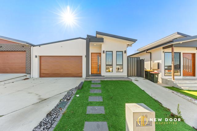 19 Perrott Street, ACT 2913