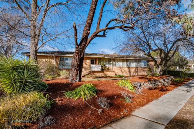 19 Basedow Street, ACT 2607