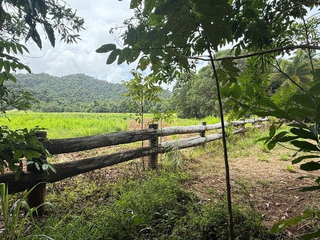 Lot 299 Bruce Highway, QLD 4855