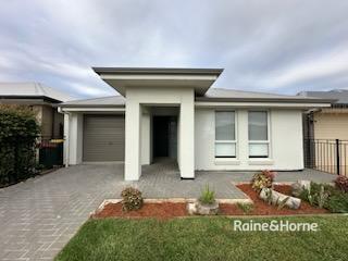 14 Cypress Street, SA 5115