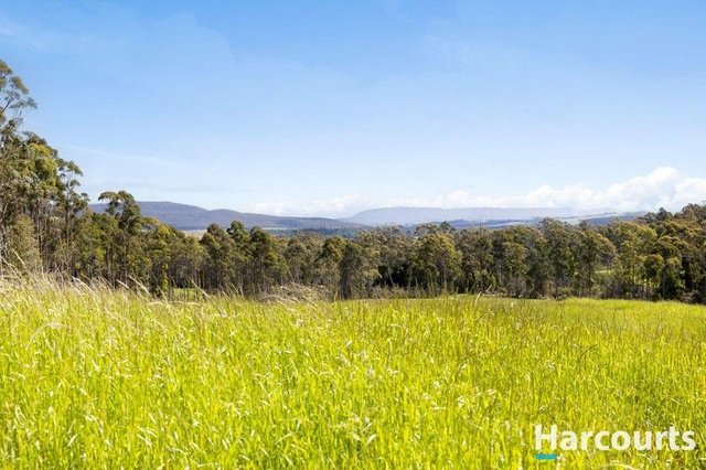 420 Bradys Plain Road, TAS 7304