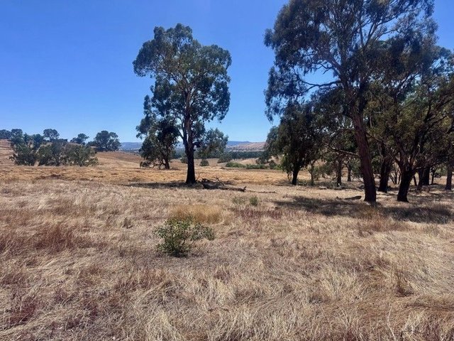 84 Owens Creek Drive, VIC 3722