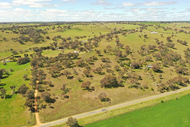 2200 Murringo Road, NSW 2586