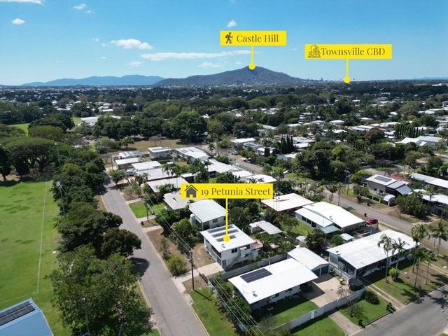 19 Petunia Street, QLD 4814