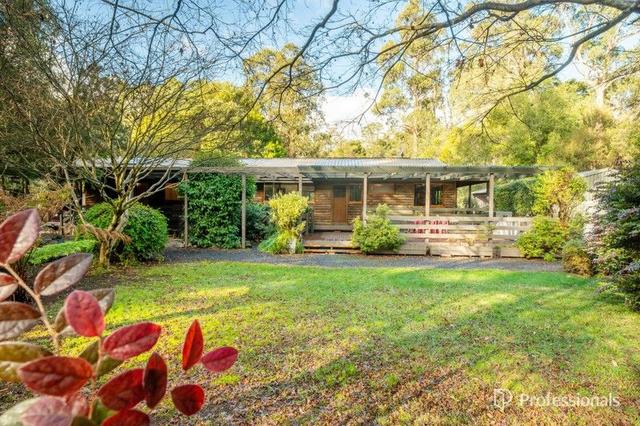 45 Armitage Avenue, VIC 3799