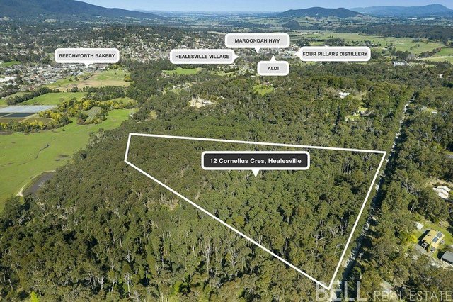12 Cornelius Crescent, VIC 3777