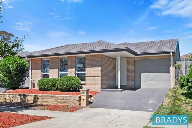 60 Elizabeth Jolley Crescent, ACT 2913