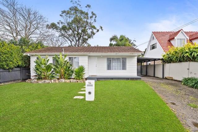 14 Echidna Street, NSW 2261