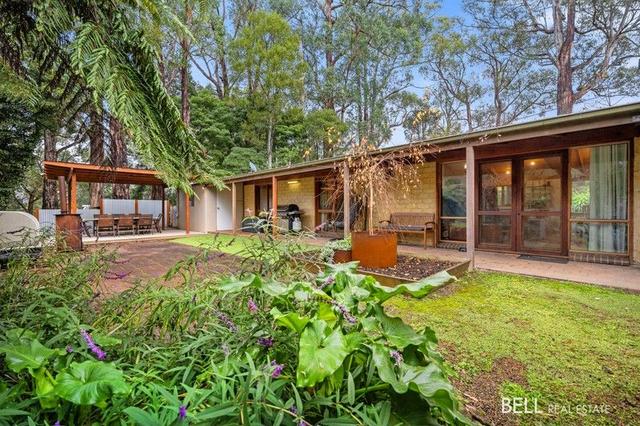 20 Waterloo Avenue, VIC 3799