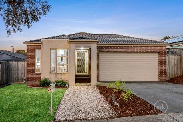 43 Senecio Drive, VIC 3754