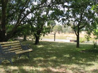 Shady garden area 