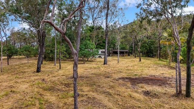 135 Cedar Park Road, QLD 4881