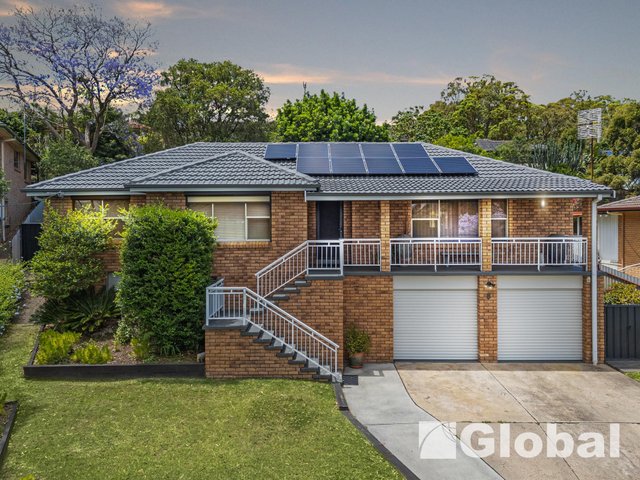 8 Potter Close, NSW 2283