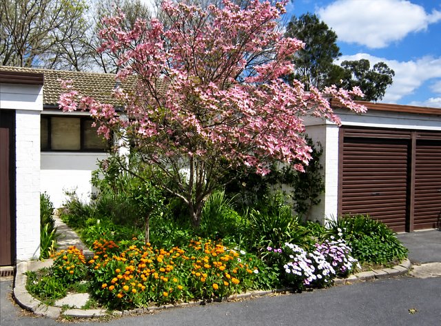 76 Grayson St, ACT 2602