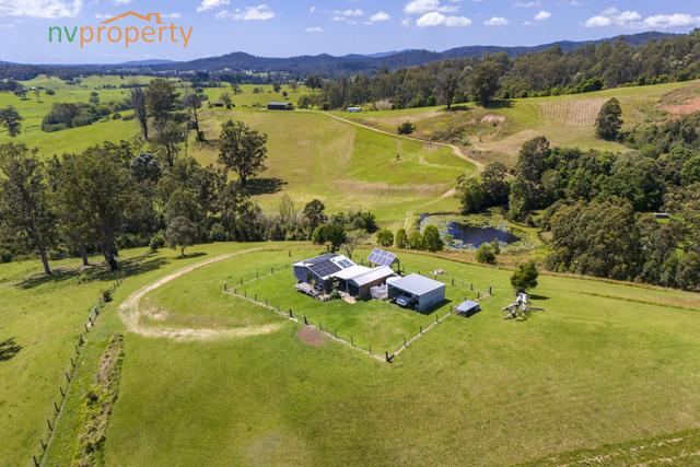 99 Whip Mountain Road, NSW 2447