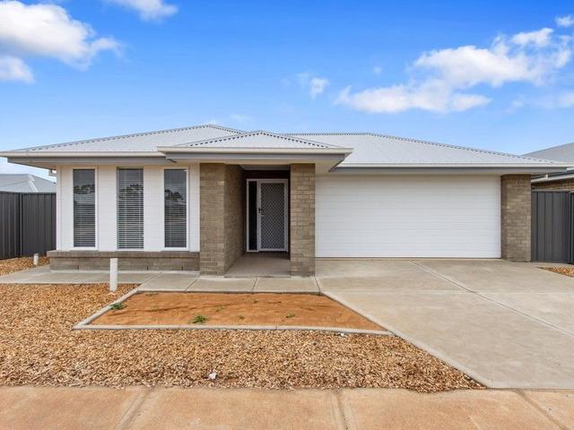 34 Badman Street, SA 5115