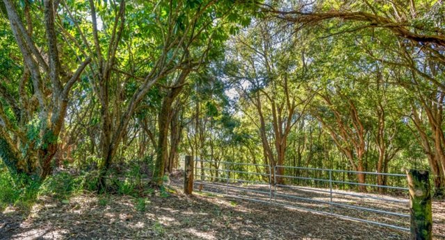 70 North Teven Road, NSW 2478