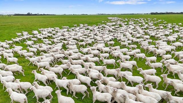 1412 Red Bluff Road, SA 5268