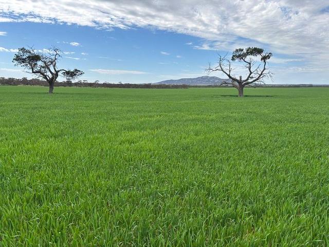 74 Humphries Road, SA 5642