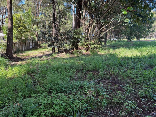 9 Oak Street, QLD 4184