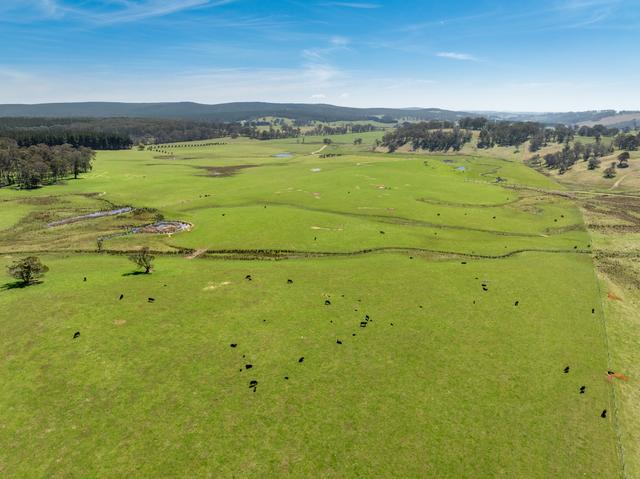 224 Cranfield Road, NSW 2787