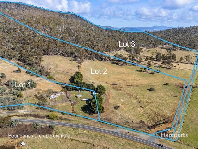 Lot 1/4115 Tasman Highway, TAS 7190