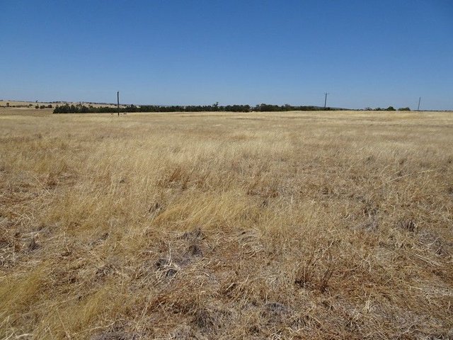 160 Chittleborough Road, WA 6306