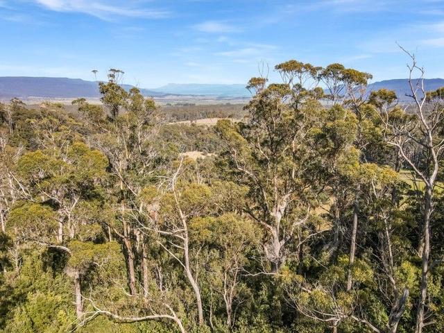 Curtis Rd, TAS 7215