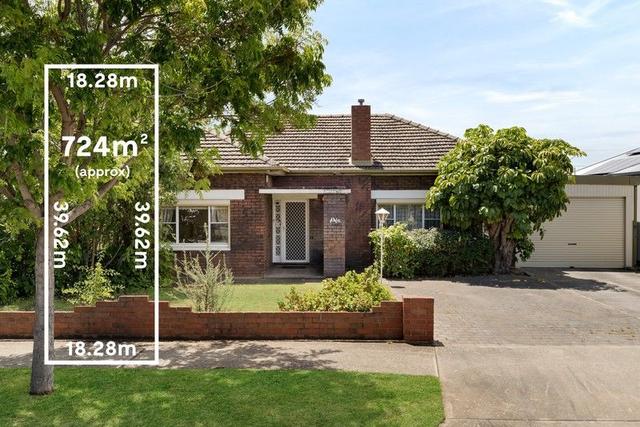 16 Collingwood  Avenue, SA 5025