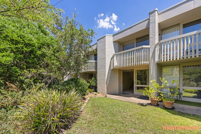 43 Darling Street, ACT 2600