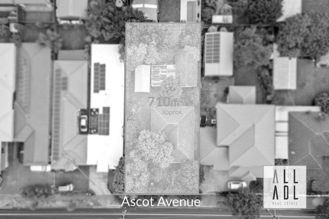 32 Ascot Avenue, SA 5081