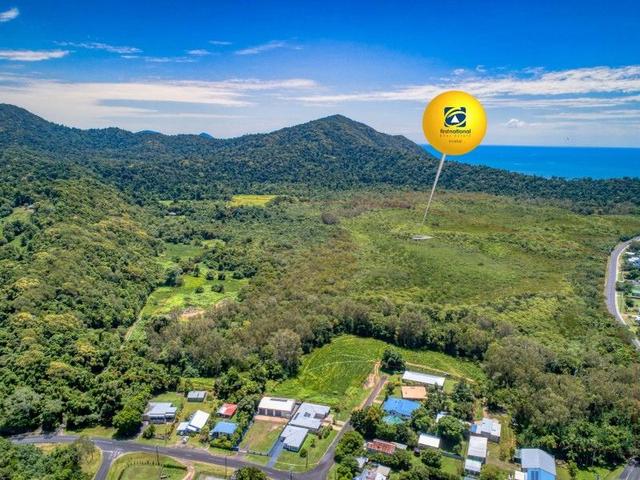 Lot 1 Flying Fish Point Road, QLD 4860