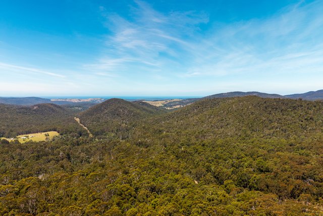 1824 Mount Darragh Road, NSW 2550