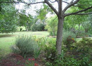 Garden (2007-12-24)