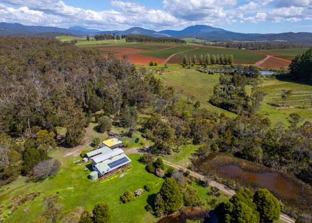 338 Gillespies Rd, TAS 7260