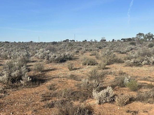 Section 66 Cemetery Road, SA 5320