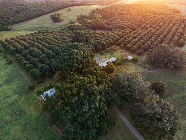 241 Alcorn Road, NSW 2479