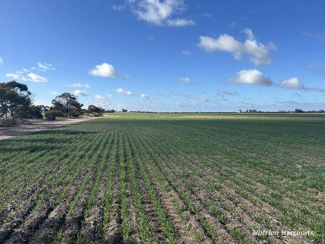 . "Morgans", White Well & Mt Pleasant Roads, WA 6350