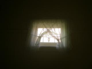 Lead Light Windows (2010-05-03)