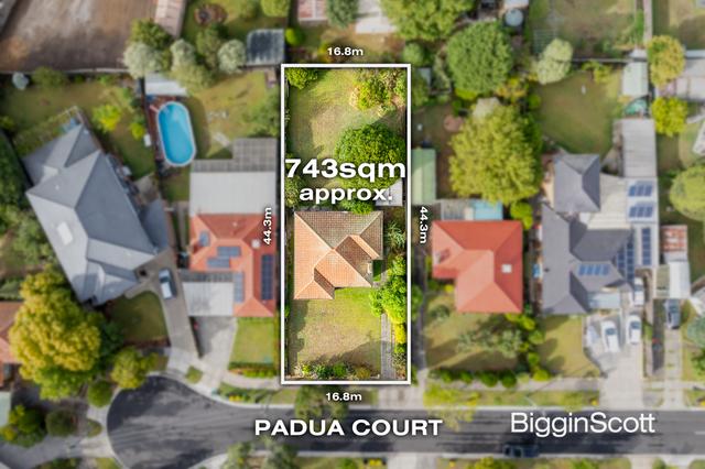 10 Padua Court, VIC 3150