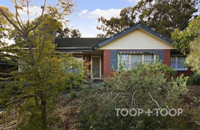 33 Burnbank Grove, SA 5076