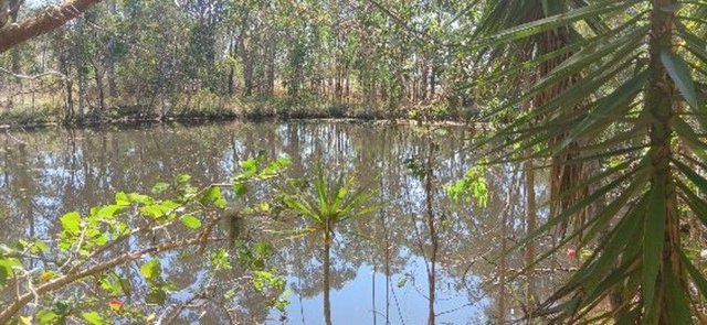 1/null Top End Mines Road, QLD 4662