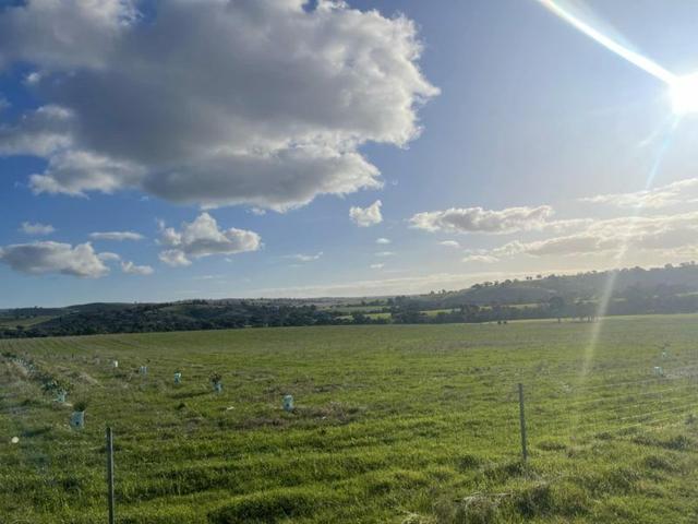 Allotment/27 Wirrabara-Appila Road, SA 5481