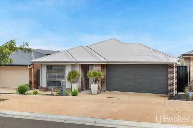 20 Gibson Street, SA 5116