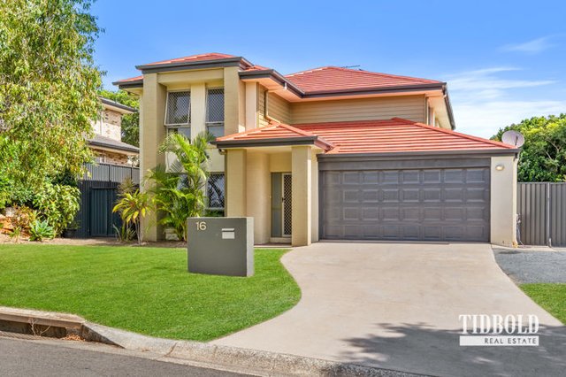 16 Pelorus Street, QLD 4165