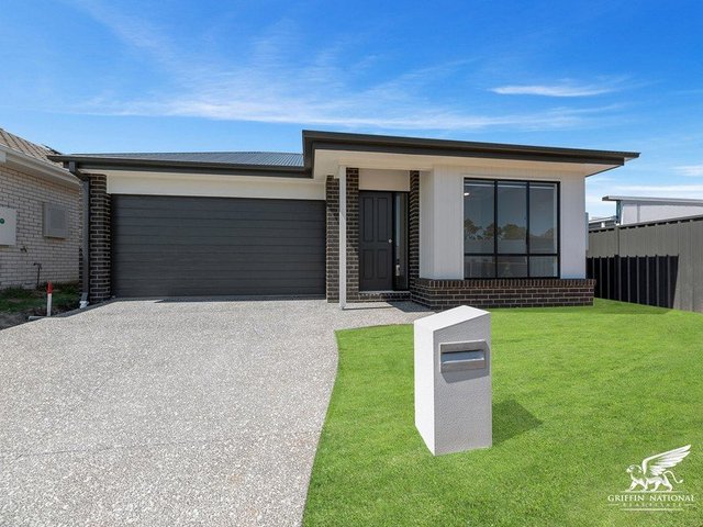 19 Festival Street, QLD 4506