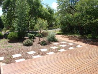 Front Garden (2012-01-11)