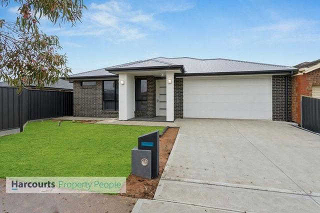 19 Alfred Avenue, SA 5023